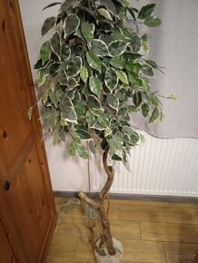 Prodám 2x umělá rostlina, výška cca 150cm