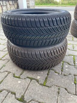 Pneu zimní 195/55 R15 Sava