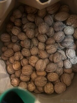 Vlašské ořechy neloupané