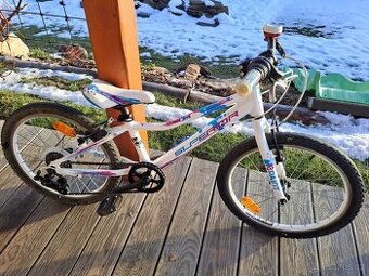 Superior Paint 20"- PĚKNÉ