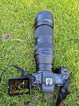 Sigma 100-400 mm f/5-6,3 DG OS HSM Contemporary pro Canon