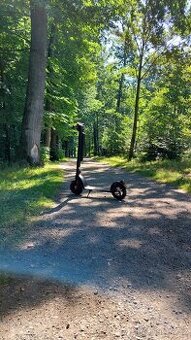 Bohman Go Plus Red 350