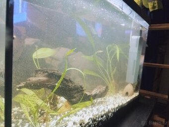 Akvárium 60L dovezu