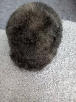 Pánská zimní čepice TONAK