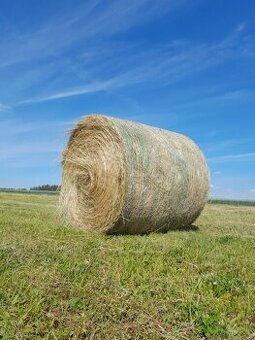 Balíky 120 cm, první seč 2025 - 1