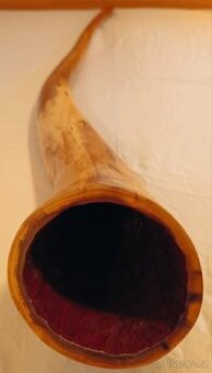 Australské didgeridoo - 1