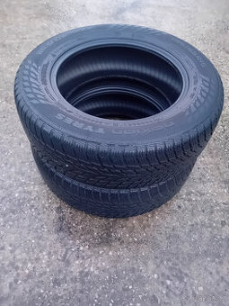 Zimní pneumatiky nokian 195/65 R15