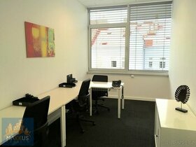 IP PAVLOVA - pronájem reprezentativní kanceláře (13 m2), Pra - 1