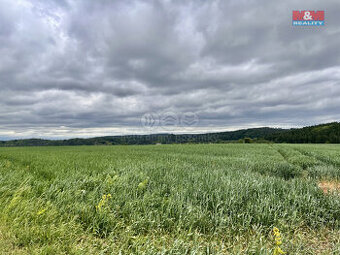 Prodej pole, 22965 m², Měcholupy