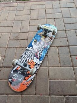 Skateboard tony hawk