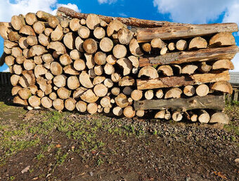 Palivové dřevo - 3 metry