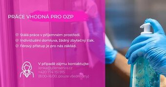 Pracovnice úklidu pouze s OZP