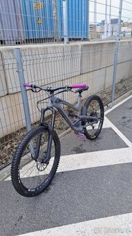 Yt capra 2019