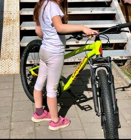 Orbea