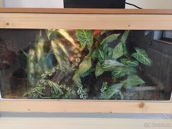 Paludarium s pralesničkama