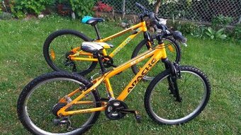 2 x lehké kolo Kellys 24" 2022 a kolo Apache XC 24" můžu P
