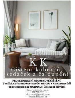 Nabízíme profesionální čištění koberců, sedaček i - 1