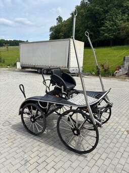 Maratón jednospřeží