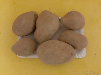 Konzumní brambory Adéla