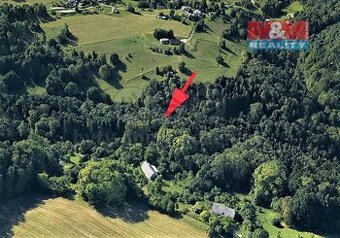 Prodej lesa, 2062 m², Koberovy