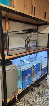Prodám akvarium 300l