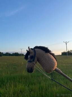 Hobby horse