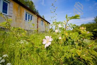 Prodej zemědělské usedlosti 593m2, s pozemkem 3430m2, Markva