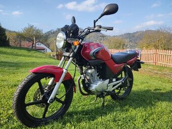 Yamaha YBR 125 r.v. 2008