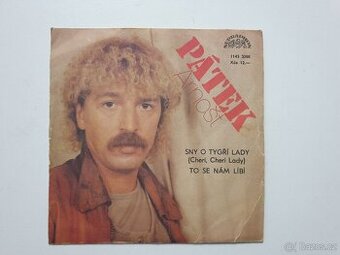 Arnošt Pátek - Sny o tygří lady SP