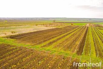 Prodej, Pozemek pro bydlení, 2 723 m2 - Moravský Žižkov