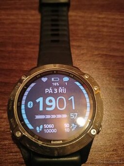 Garmin Fenix 6