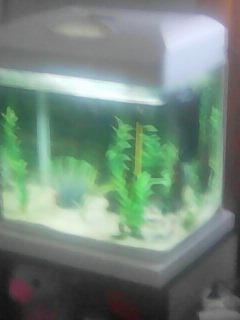 AKVARIJNI SET S OSVETLENIM NA 35 LITRU