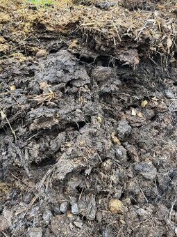 Koňský hnůj zdarma