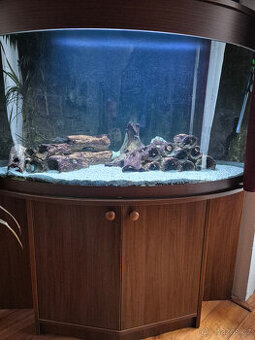 Prodám rohové akvárium 350 litrů