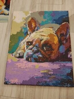 Diamantový obraz buldočka nebo