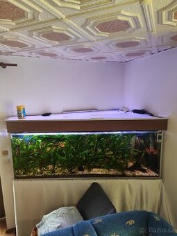 Akvárium 700L i s rybičkami