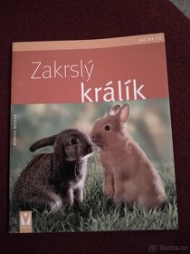 Prodám knihu Zakrslý králík