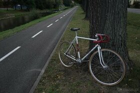 Cinelli Riviera