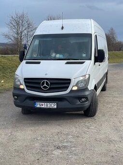 Sprinter