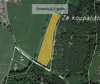 Prodej louky v k.ú. Březová u Broumova