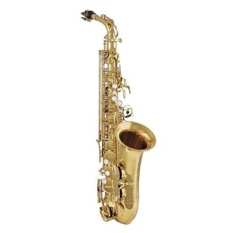 Alt saxofon - zlatý lak s pouzdrem