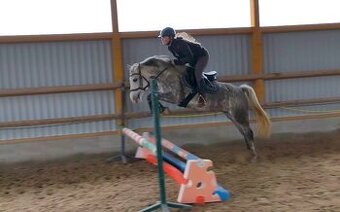 Šestiletá pony klisna s velkou skokovou schopností