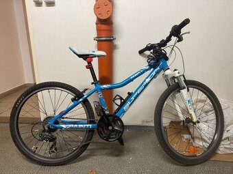 Dětské kolo Superior paint 24