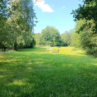 Prodej louky u obce Krasetín - Holubov