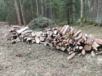 palivové dřevo