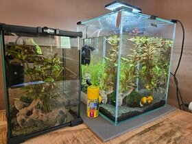 Aquael 30l + další akvárium s vybavením