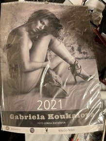 Kalendář koukalova 2021 - 1