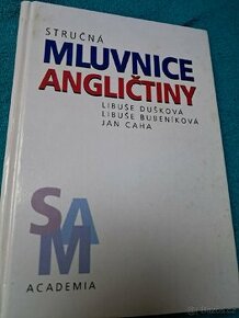 Mluvnice angličtiny - 1