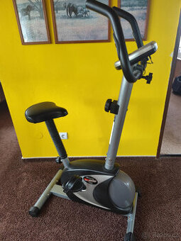 Rotoped excercise bike DM 2830