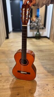 Kytara 1/2 top stav
